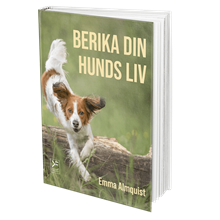 Berika din hunds liv